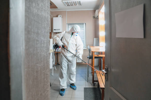 Best Water Damage & Mold Remediation  in Pamplico, SC