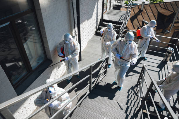 Best Crawl Space Mold Remediation  in Pamplico, SC