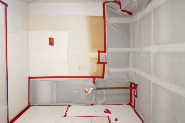 Best Commercial Mold Inspection  in Pamplico, SC
