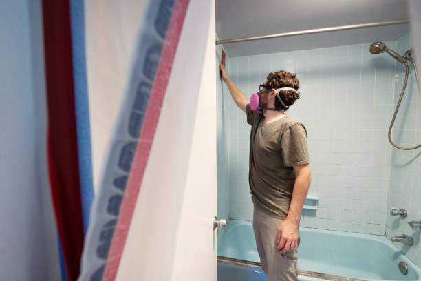Best Forensic Mold Investigation  in Pamplico, SC