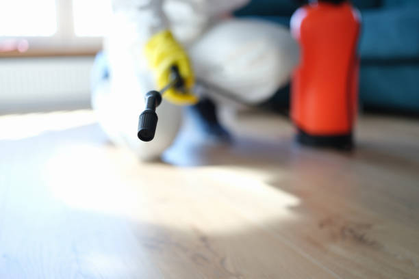 Best Air Quality Testing for Mold Spores  in Pamplico, SC