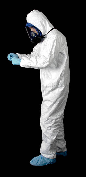 Best Mold Damage Restoration  in Pamplico, SC
